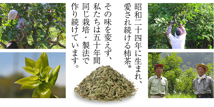 昭和二十四年に生まれ、愛され続ける柿茶R。同じ栽培・製法で作り続けています。