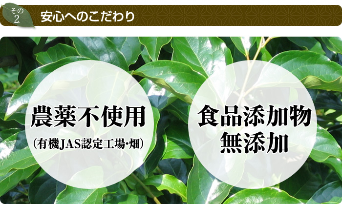 安心へのこだわり