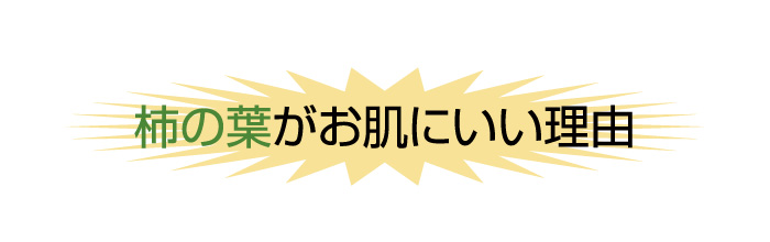 柿の葉がお肌にいい理由