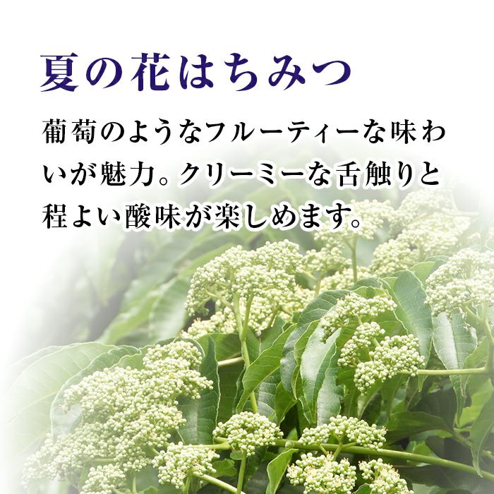 完熟はちみつ【みかんの花はちみつ】【夏の花はちみつ】【春の花